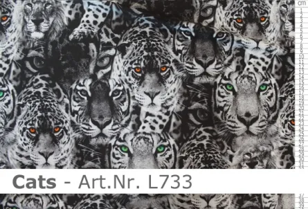 Lycra-animal print Cats