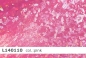 Preview: Lycra mit Hologramm - L140110 - Reste