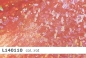 Preview: Lycra mit Hologramm - L140110 - Reste