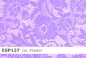 Preview: elastische Spitze  - ESP137