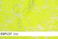 Preview: elastische Spitze  - ESP137