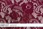 Preview: elastische Spitze  - ESP137