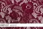 Preview: elastische Spitze - ESP137