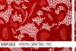 Preview: elastische Spitze  - ESP202