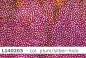 Preview: Lycra Cosmic mit Holopunkte