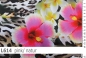 Preview: Lycra Design Leopard floral - L614 - Reste
