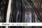 Preview: Lycra - Design Phyton