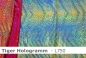 Preview: Lycra Tiger Hologramm