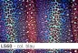 Preview: Lycra Leopard Farbverlauf- L560