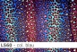 Preview: Lycra Leopard Farbverlauf- L560 - Reste