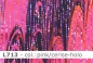 Preview: Lycra - Design Icarus mit Hologramm - Reste