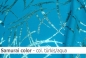 Preview: Lycra - Design Samurai color - Reste