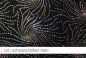 Preview: Lycra - Design Firework - Reste