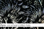 Preview: Lycra Design Pyro mit Hologramm - L609 - Reste