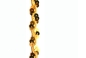 Preview: PB920096-gold