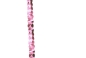 Preview: PB920103-rosa