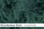 Preview: Straussen-Boa 5fach male