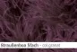 Preview: Straussen-Boa 5fach male