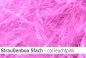 Preview: Straussen-Boa 5fach male