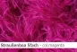 Preview: Straussen-Boa 5fach male