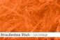 Preview: Straussen-Boa 5fach male
