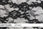 Preview: elastische Spitze  - ESP70286 - Reste
