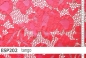 Preview: elastische Spitze  - ESP202