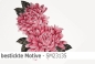 Preview: Stickerei - besticktes Motiv 27x18cm