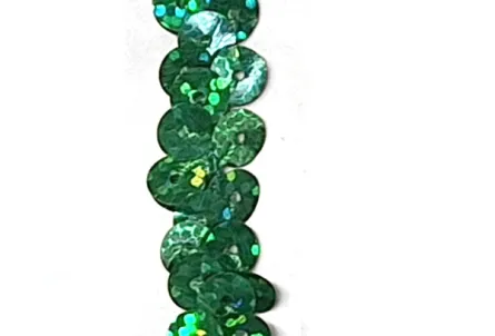 Holo Paillettenband - breit