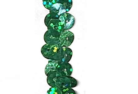 Holo Paillettenband - breit