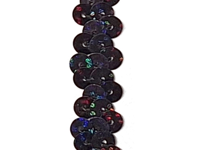 Holo Paillettenband - breit
