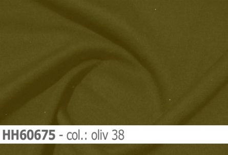 Hemd-/Kleiderenstoff - HH60675 - Reste