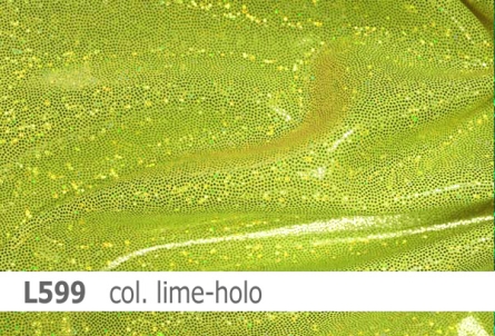 Lycra - Design Shine - Hologramm - Reste