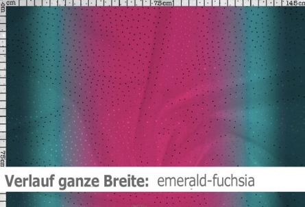 Netzstoff mit Farbverlauf & Pailletten - Reste