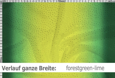 Netzstoff mit Farbverlauf & Pailletten