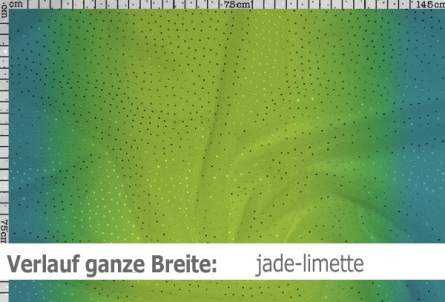 Netzstoff mit Farbverlauf & Pailletten - Reste