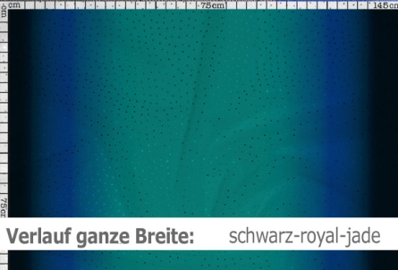 Netzstoff mit Farbverlauf & Pailletten - Reste