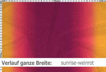 Netzstoff mit Farbverlauf & Pailletten - Reste