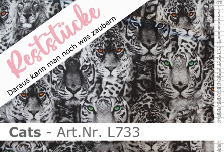 Lycra-animal print Cats