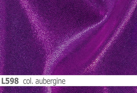 Lycra - Design Shine - Reste
