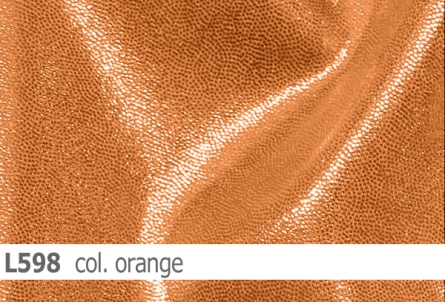 Lycra - Design Shine - Reste
