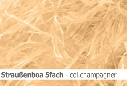 Straussen-Boa 5fach male