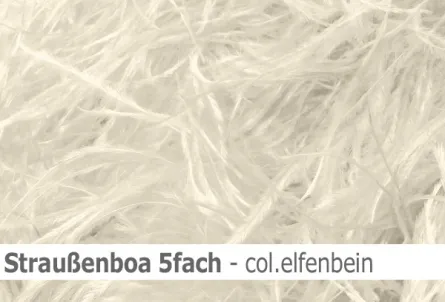 Straussen-Boa 5fach male