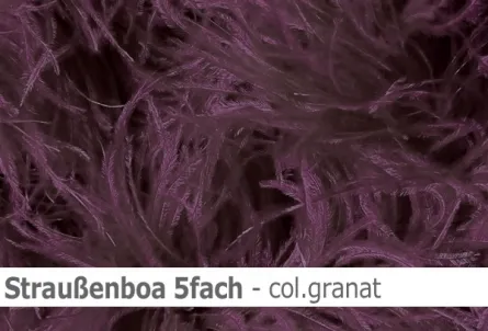 Straussen-Boa 5fach male