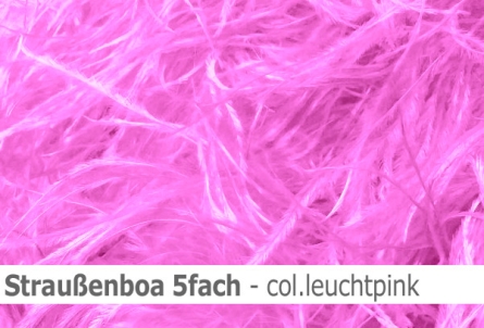 Straussen-Boa 5fach male