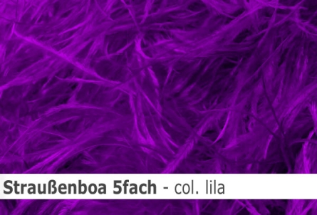 Straussen-Boa 5fach male