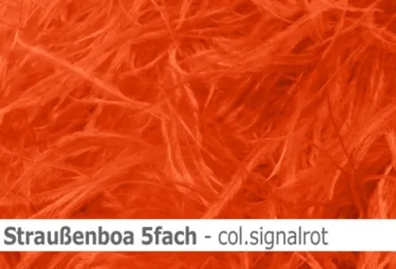 Straussen-Boa 5fach male - sale
