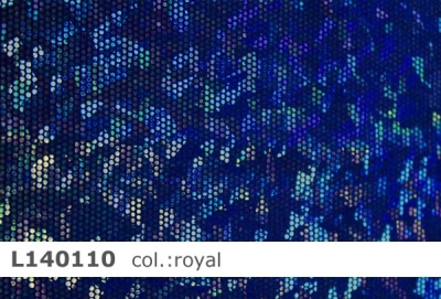 Lycra mit Hologramm - L140110 - Reste