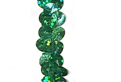 Holo Paillettenband - breit