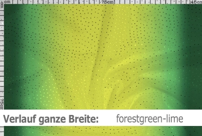 Netzstoff mit Farbverlauf & Pailletten - Reste